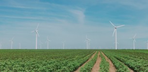 agriculture windmills