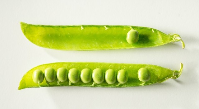 peas in pod